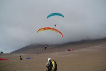 Paragliders.